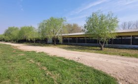 5 ha. en San Cipriano (ER)